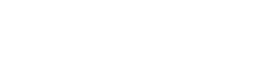 LOGO HORIZONTAL